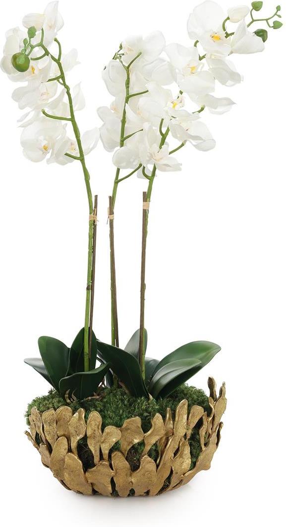 John Richard Decor Orchid Elegance