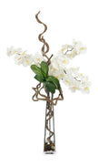 John Richard Decor Nature in Bloom