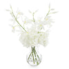 John Richard Oncidium Orchid Spray