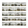 John Richard Tony Fey's Nature Walk, Set of 20 Wall Art