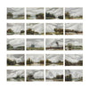 John Richard Tony Fey's Nature Walk, Set of 20 Wall Art