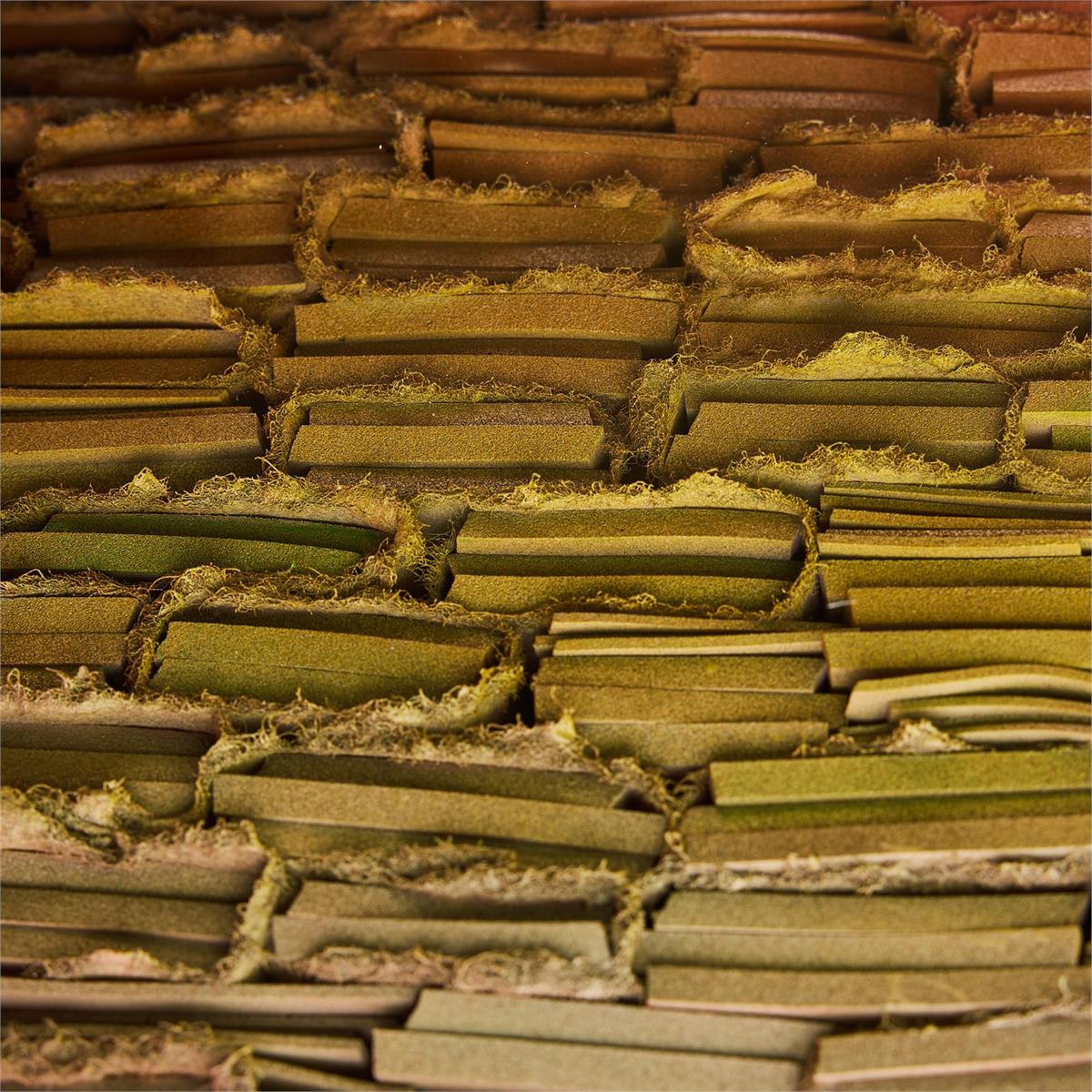 John Richard Tony Fey's Drifting Echoes