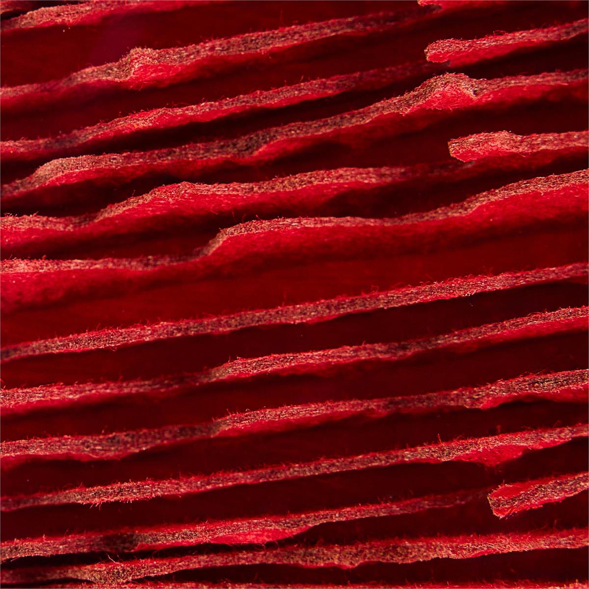 John Richard He Hongbin's Celestial Bodies