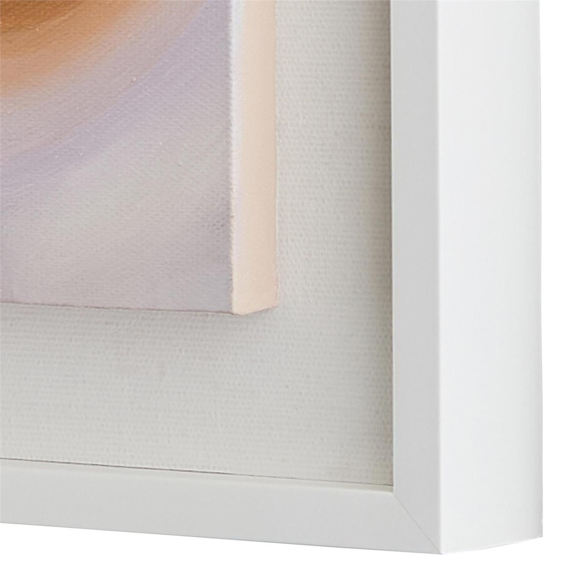 John Richard Teng Fei's Feline Friends