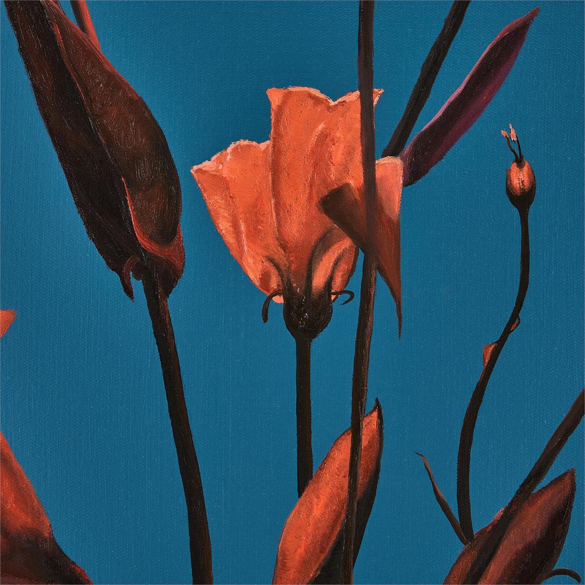 John Richard Teng Fei's Sunset Blooms