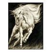 John Richard LM Zhou's Surging Equine