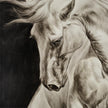 John Richard LM Zhou's Surging Equine