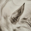 John Richard LM Zhou's Surging Equine