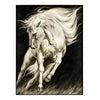 John Richard LM Zhou's Surging Equine