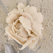 John Richard LM Zhou's Hanging Rose Garden I