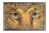 John Richard Decor Tony Fey's Focused Gaze
