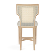 Carleen Cane Counter Stool