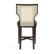 Carleen Cane Counter Stool