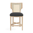 Carleen Cane Counter Stool