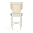 Carleen Cane Counter Stool