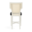 Carleen Cane Counter Stool