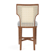Carleen Cane Counter Stool