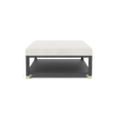 Lafeu Upholstered Coffee Table