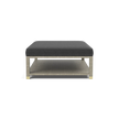 Lafeu Upholstered Coffee Table
