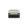 Lafeu Upholstered Coffee Table