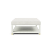 Lafeu Upholstered Coffee Table