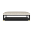 Lafeu Upholstered Coffee Table