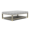 Lafeu Upholstered Coffee Table