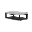 Lafeu Upholstered Coffee Table