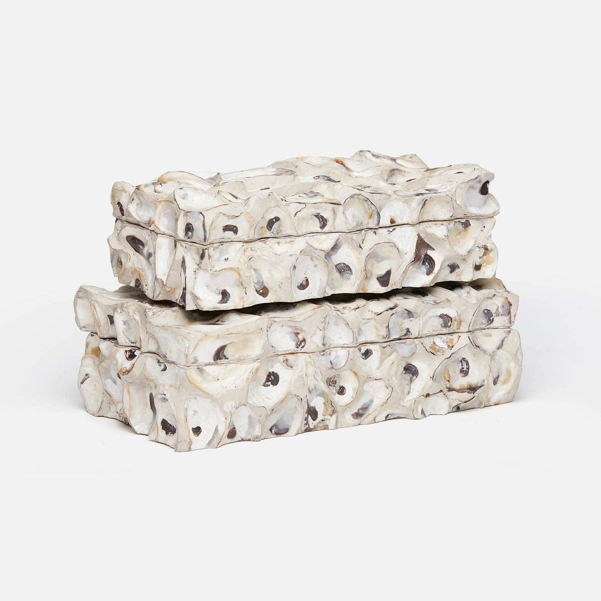 Cove Oyster Shell Box - Set of 2