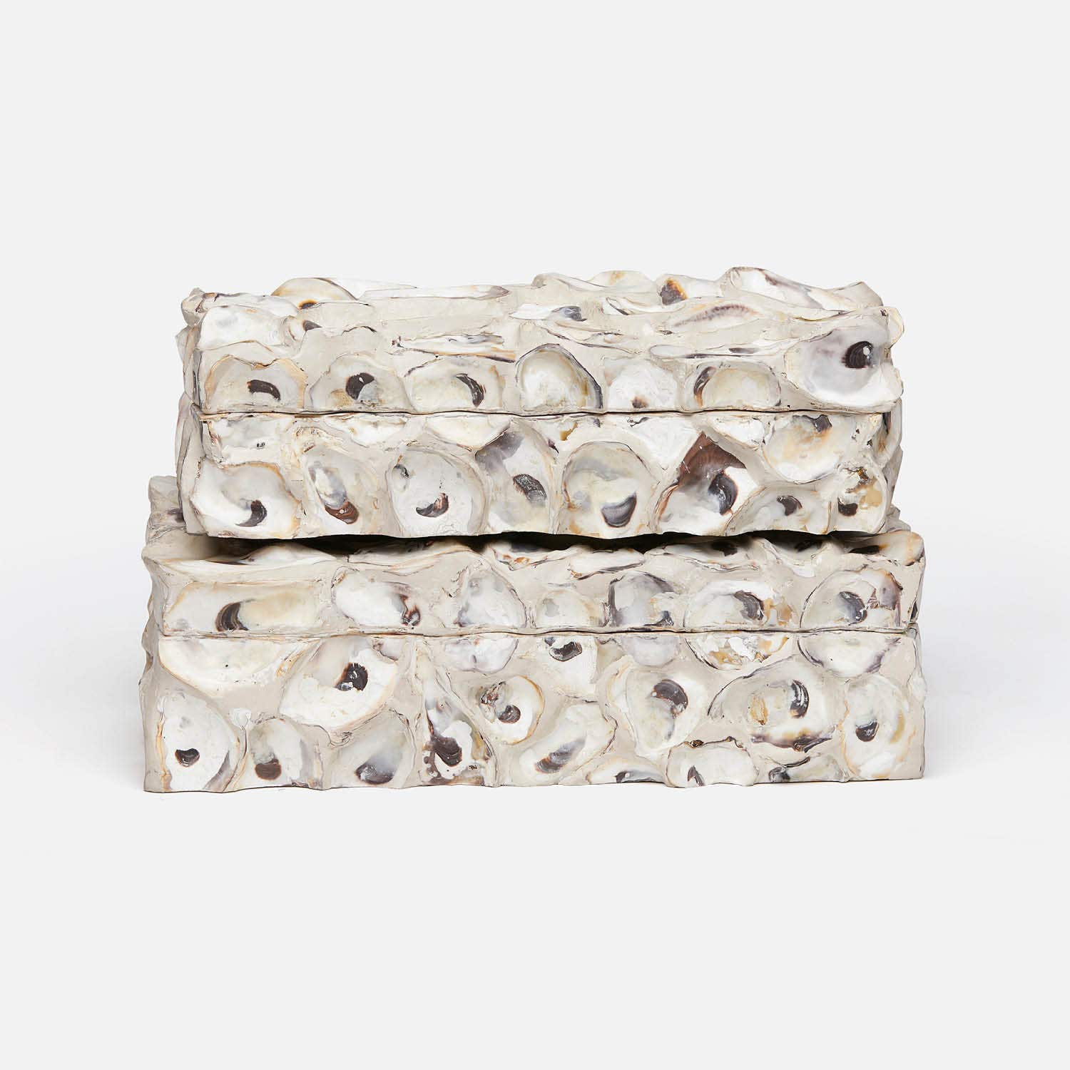 Cove Oyster Shell Box - Set of 2