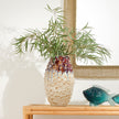 Crawford Resin Fish Sculpture - Set of 2