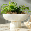 Menzel Resin Bowl