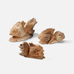 Merlin Carved Fish Sculpture - Set of 3