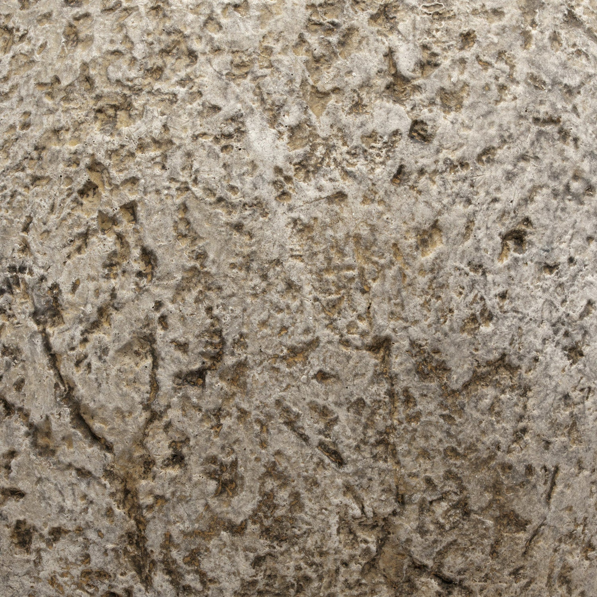 Molly Decorative Cement Sphere - Set of 2
