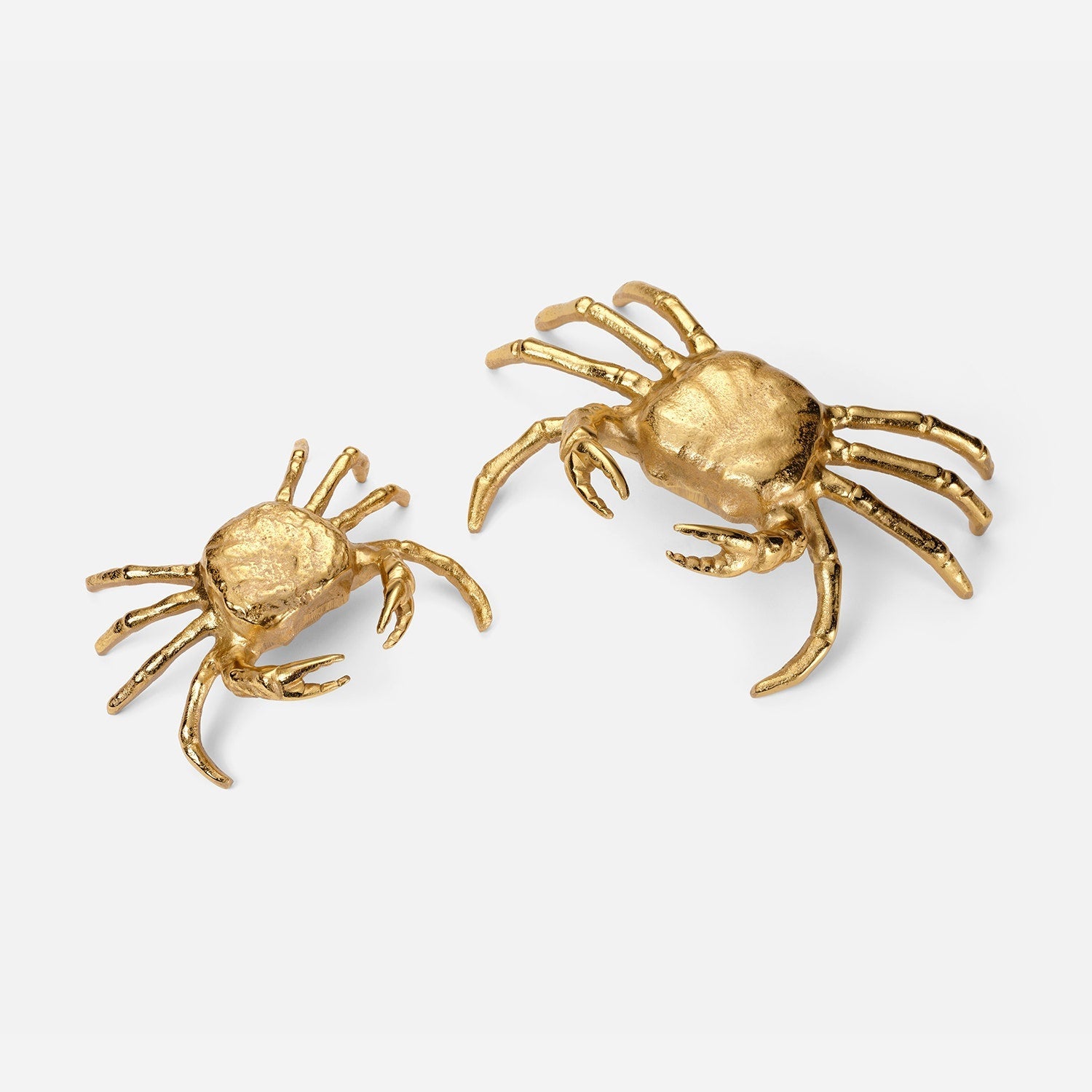 Moorea Decorative Shell Sculpture - Set of 2