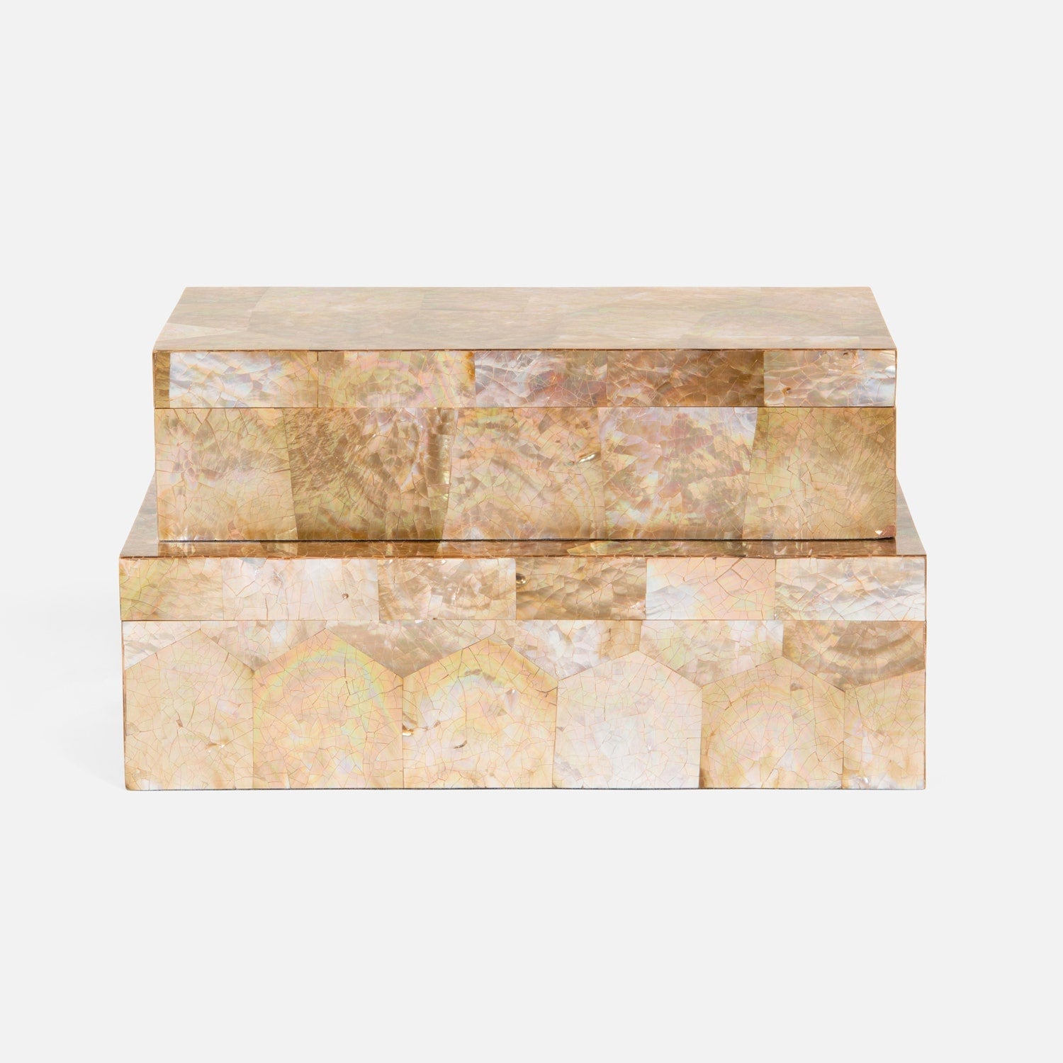 Palma Leaf Shell Box - Set of 2