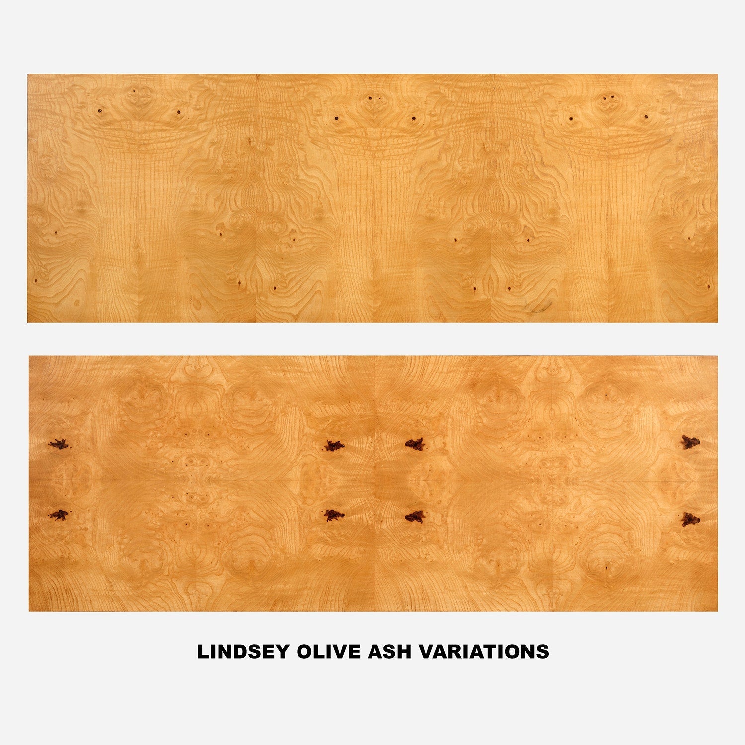 Shea Veneer Tray - Set of 2