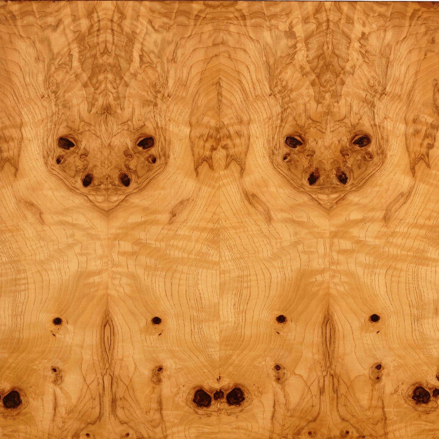 Shea Veneer Tray - Set of 2