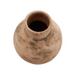 Wildwood Adelina Moss Vase