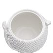Wildwood Anolis White Canister