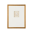 Chelsea House Botanical Relief Frame
