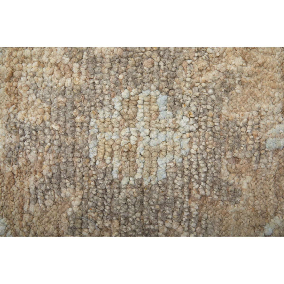 Feizy Grafton 69F8F Transitional Floral & Botanical Rug in Tan/Gray/Ivory