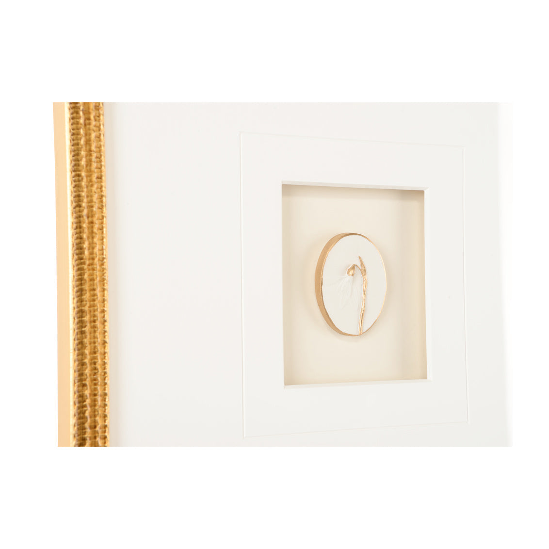 Chelsea House Botanical Relief Frame