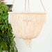 Made Goods Carmen 5-Light Chandelier