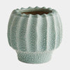 Global Views Echinus Vase