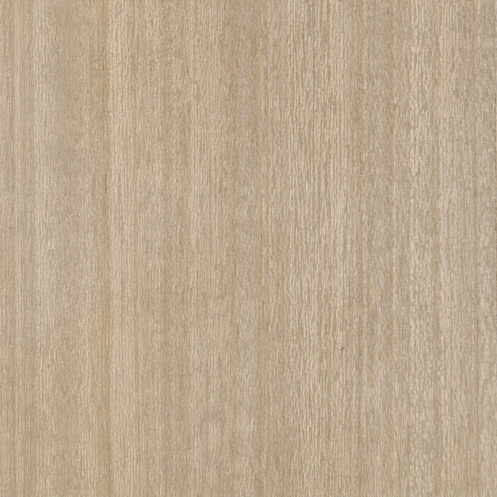 Caracole Classic Amphora Tall Chest