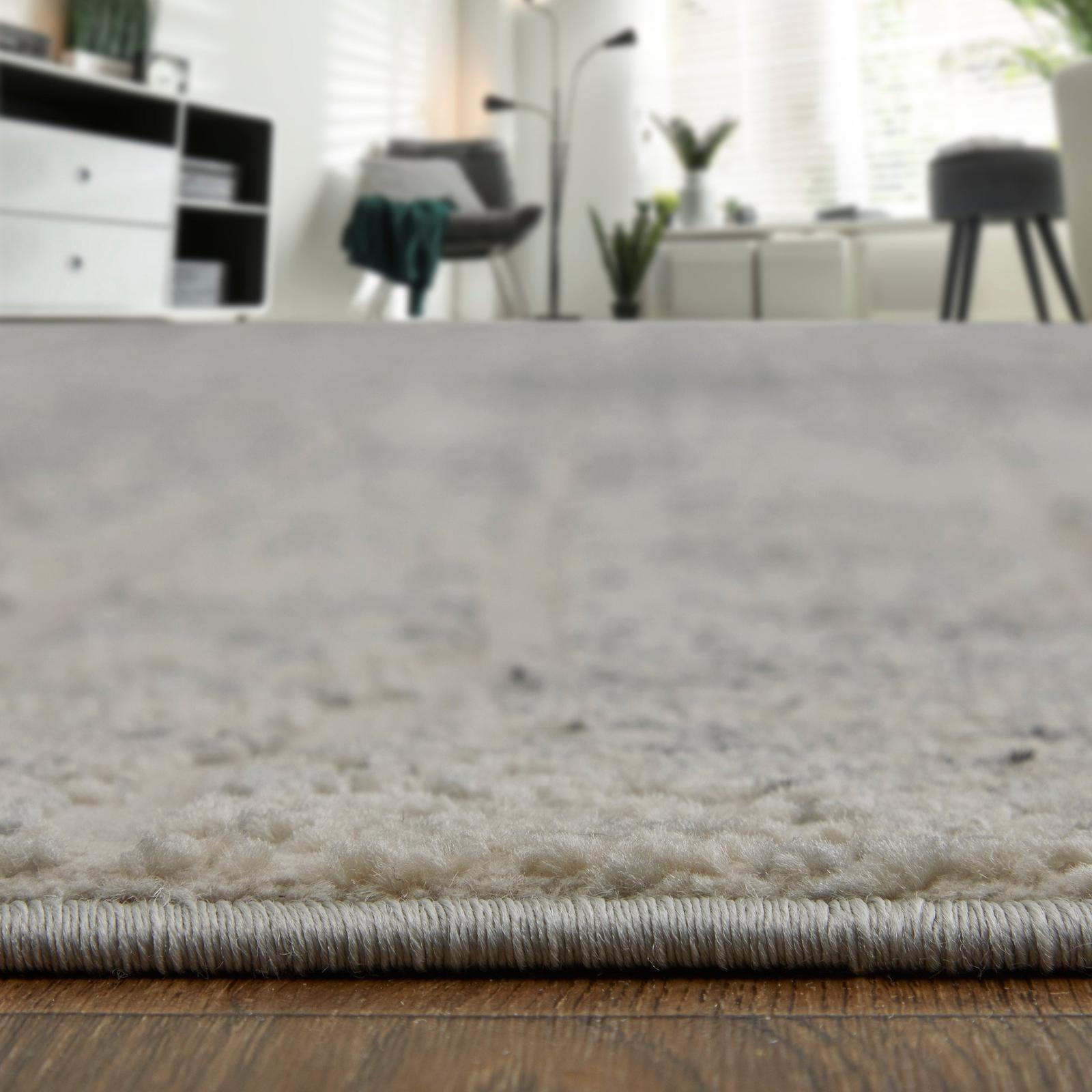 Feizy Kano 39LIF Transitional Abstract Rug