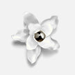 Aldwin Wall Sconce