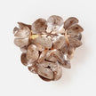 Made Goods Venus Wall Sconce