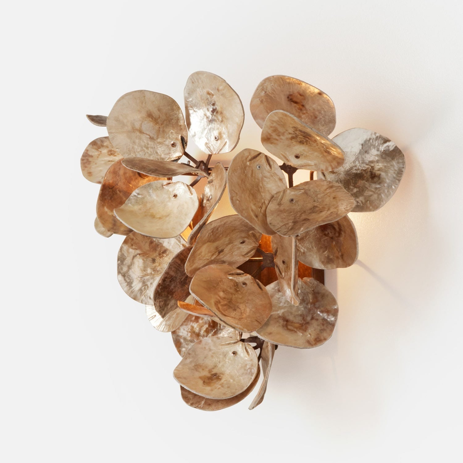 Made Goods Venus Wall Sconce